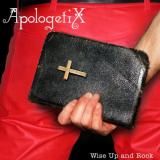 Apologetix Wise Up and Rock