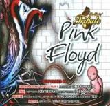 Steve Morse The Best Of Pink Floyd Tribute