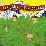 Toucans Steel Drum Band Beak Sounds