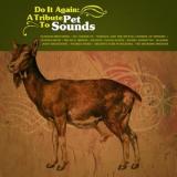 Various Artists Do It Again : A Tribute to Pet Sounds