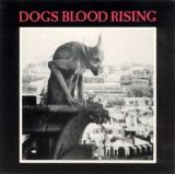Current 93 Dogs Blood Rising