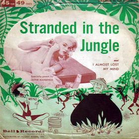 album_Jimmy-Leyden-Stranded-in-the-Jungle.jpg