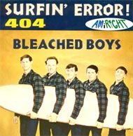 beach boys 404 error image parody of 409