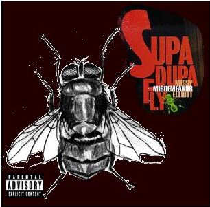 Album cover parody of Supa Dupa Fly by Missy Misdemeanor Elliott