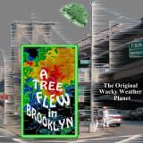 Arthur Schwartz, Dorothy Fields A Tree Grows In Brooklyn (1951 Original Broadway Cast)