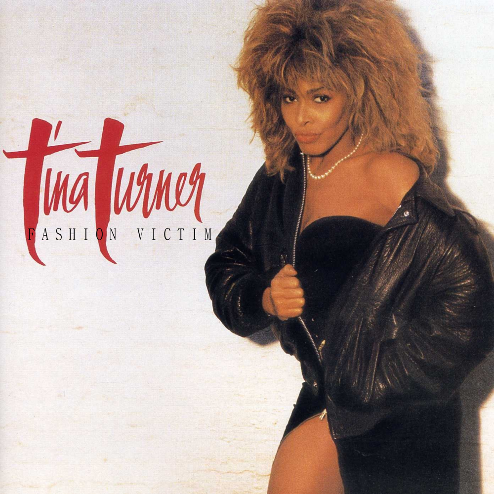 Album cover parody of Break Every Rule by Tina Turner